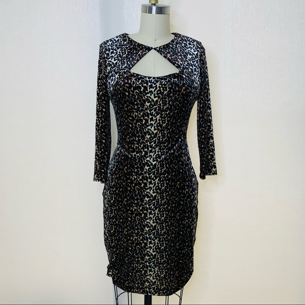 Cache Velvet Leopard Keyhole Bodycon Dress